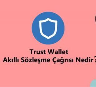 Trust Wallet'ta Akıllı Sözleşme Çağrısı Nasıl Yapılır?