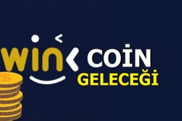 WIN Coin'in geleceği ve projenin yorumları